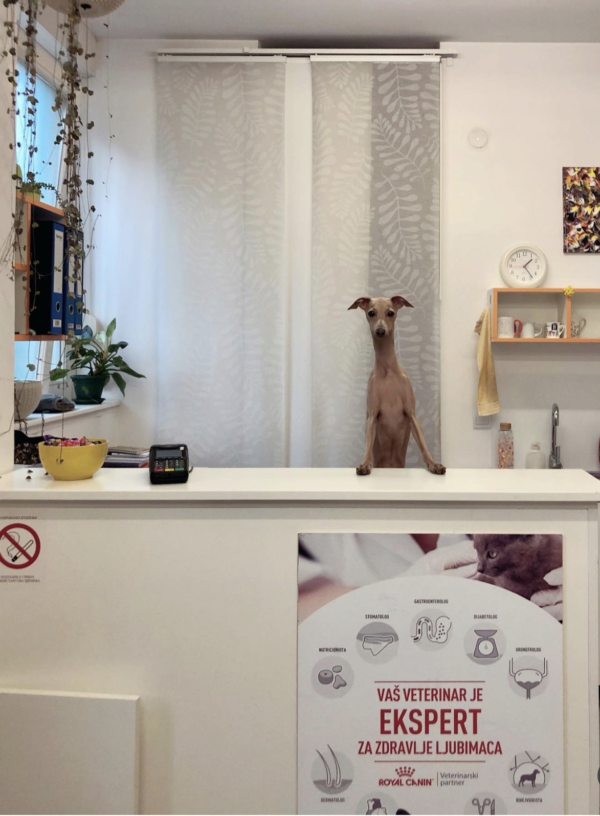 Hrt na recepciji